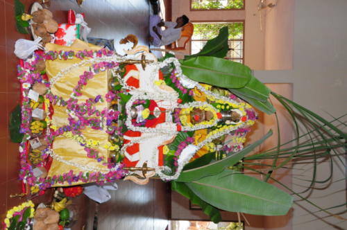 DSC 0019