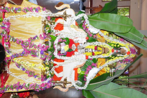 DSC 0060